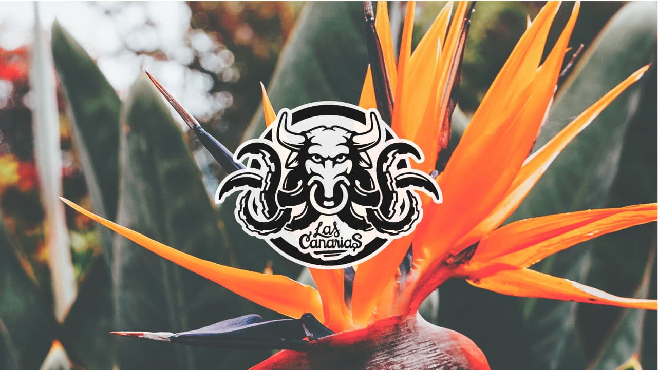 LasCanarias_Logo_Complete